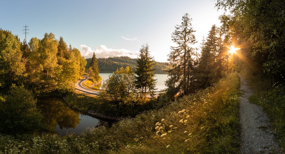 une vue panoramique sur un lac entouré d’arbres