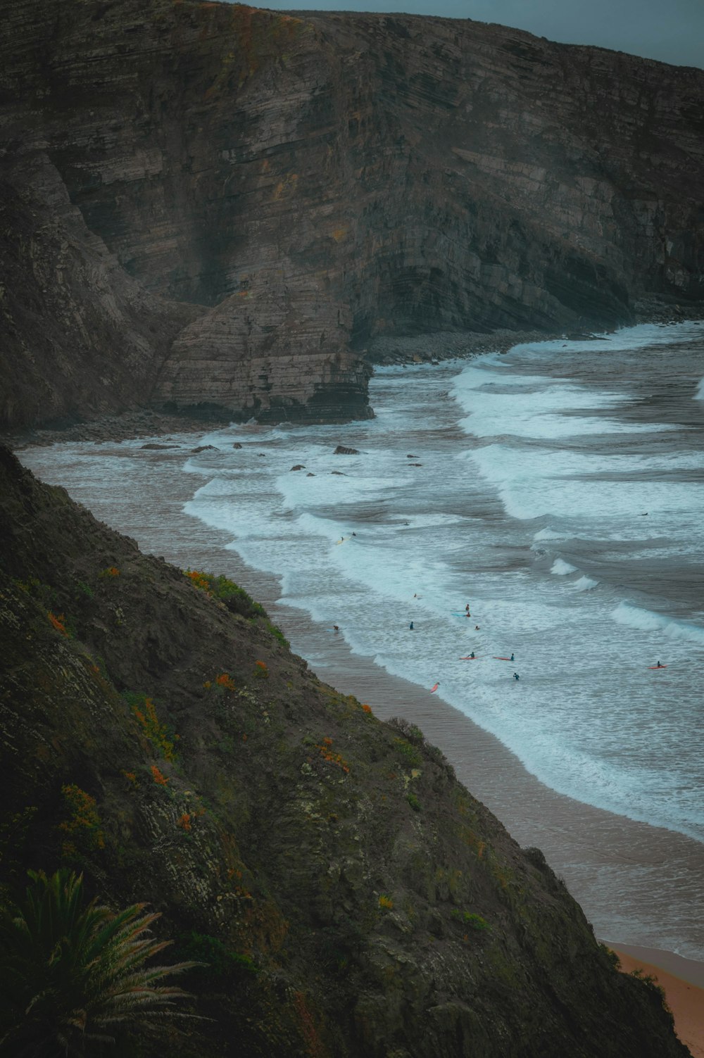 a group of people standing on top of a beach next to the ocean