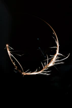 Illustration of neurons firing with a soft glowing effect on a dark background.