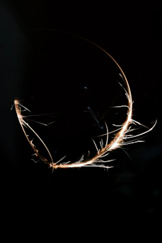 Illustration of neurons firing with a soft glowing effect on a dark background.