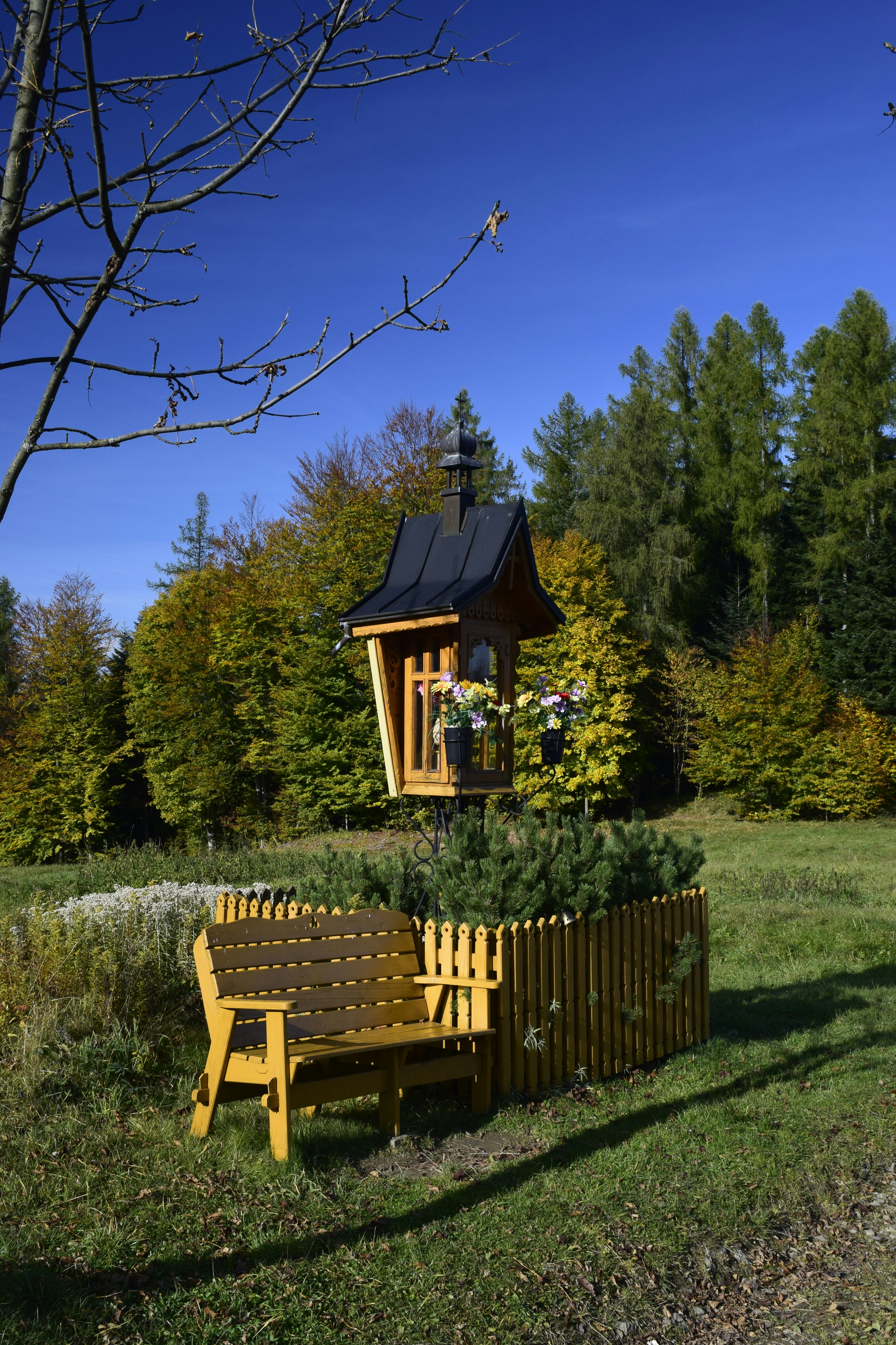 a wooden bench sitting in the middle of a field