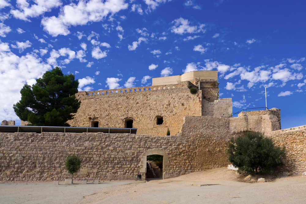 a stone wall with a gate and a tree in front of it