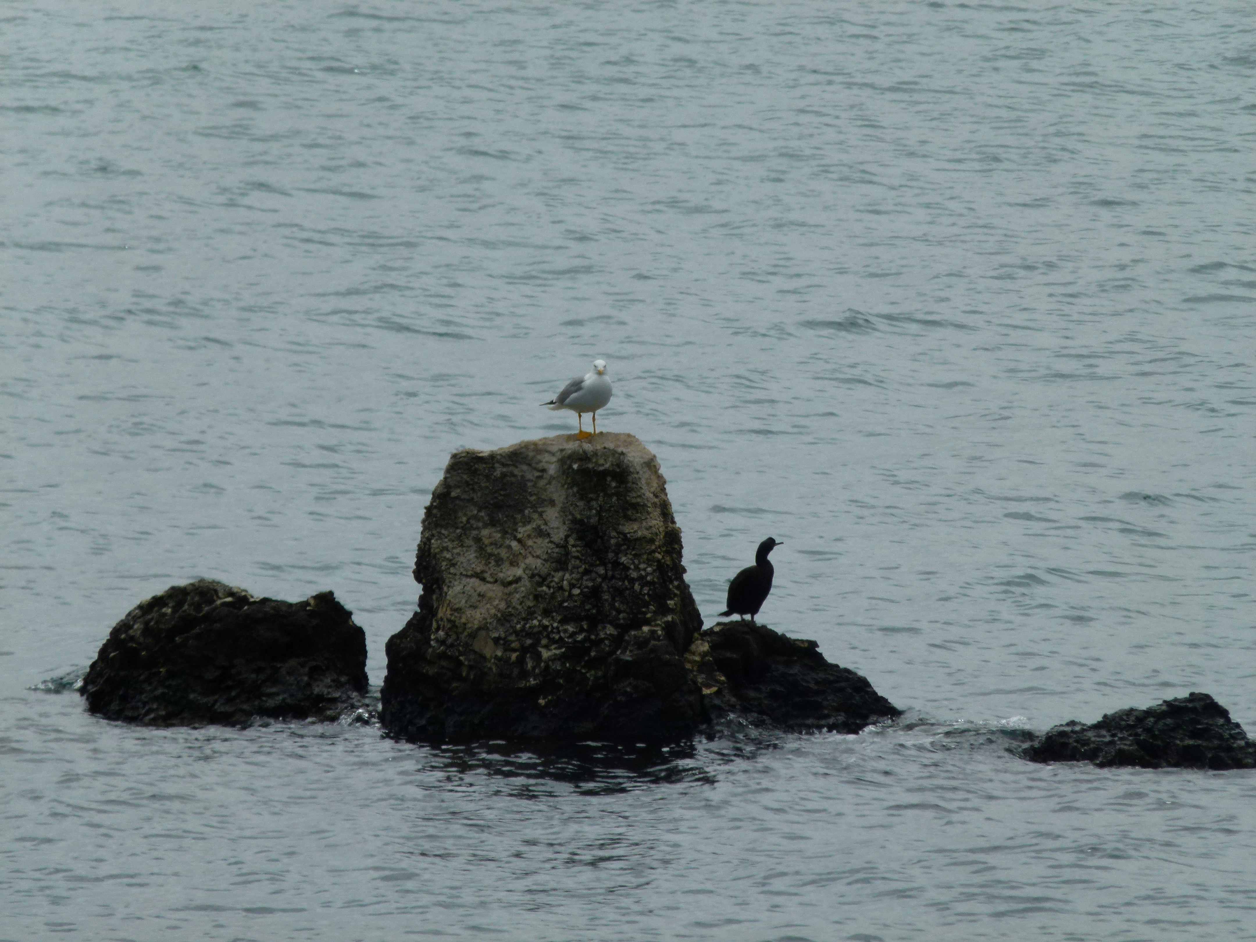 Photo by ebrarsultang