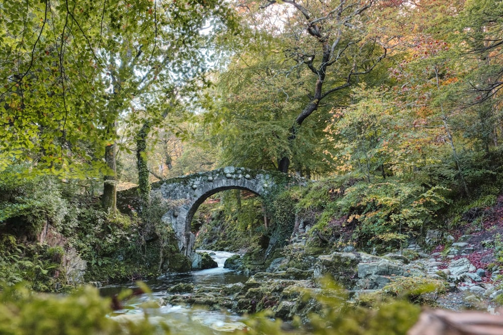 a stone bridge over a river surrounded by trees