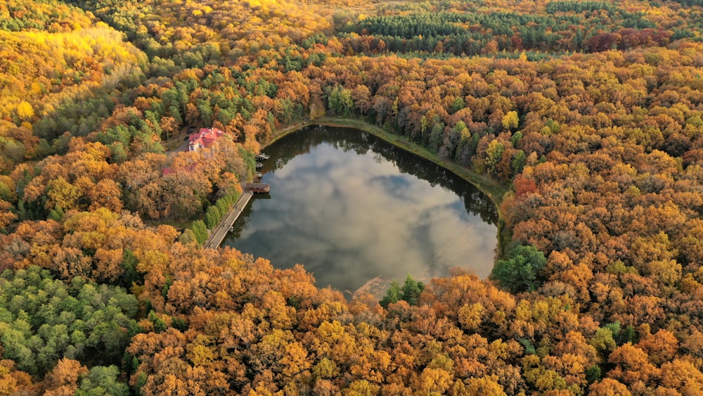 an aerial view of a lake surrounded by trees