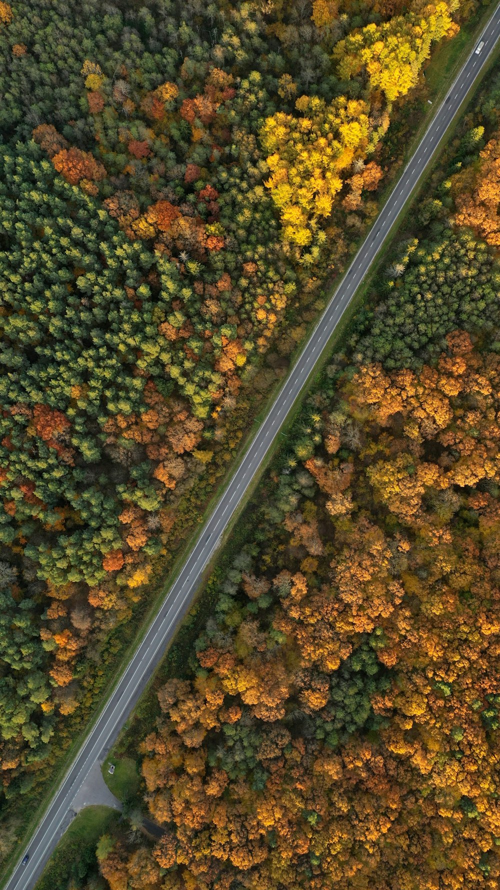 an aerial view of a road surrounded by trees