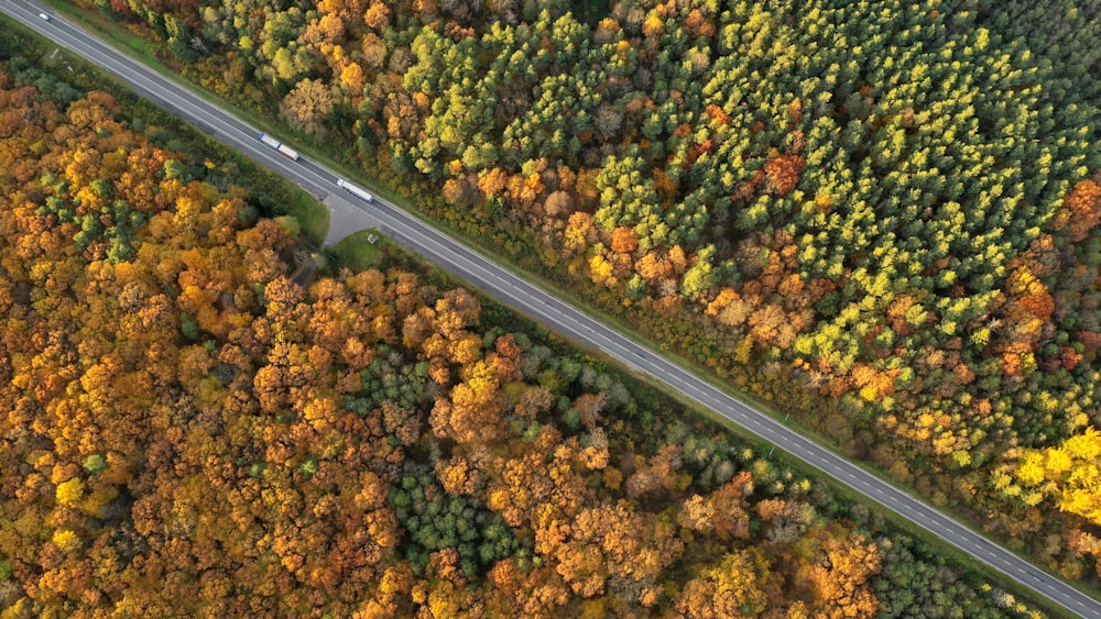 an aerial view of a road surrounded by trees