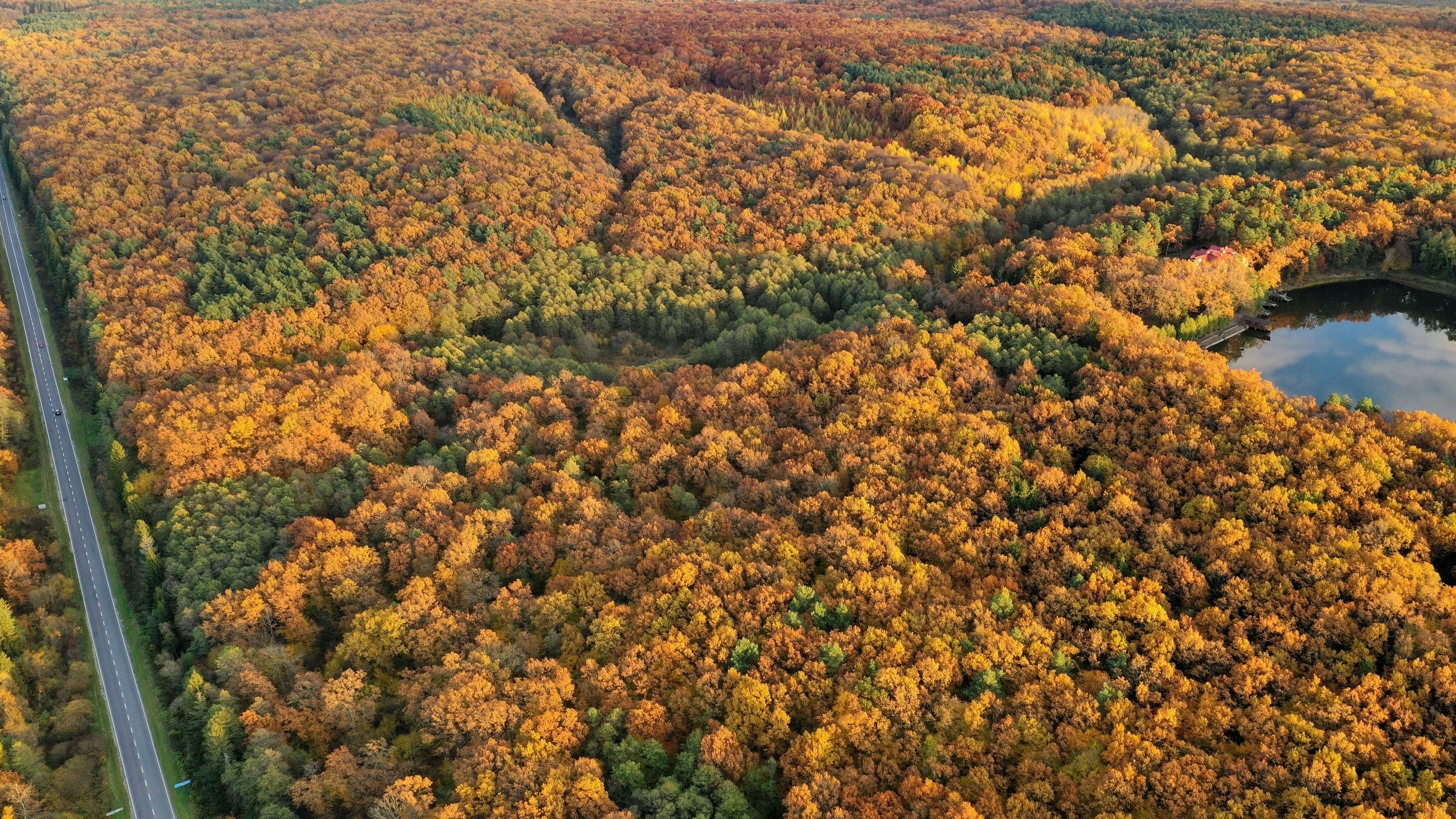 Aerial view of Algonquin Park boreal forest and lake system, autumn peak colours, vast remote wilderness