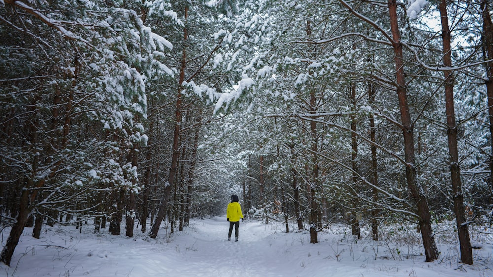 a person standing in the middle of a snow covered forest