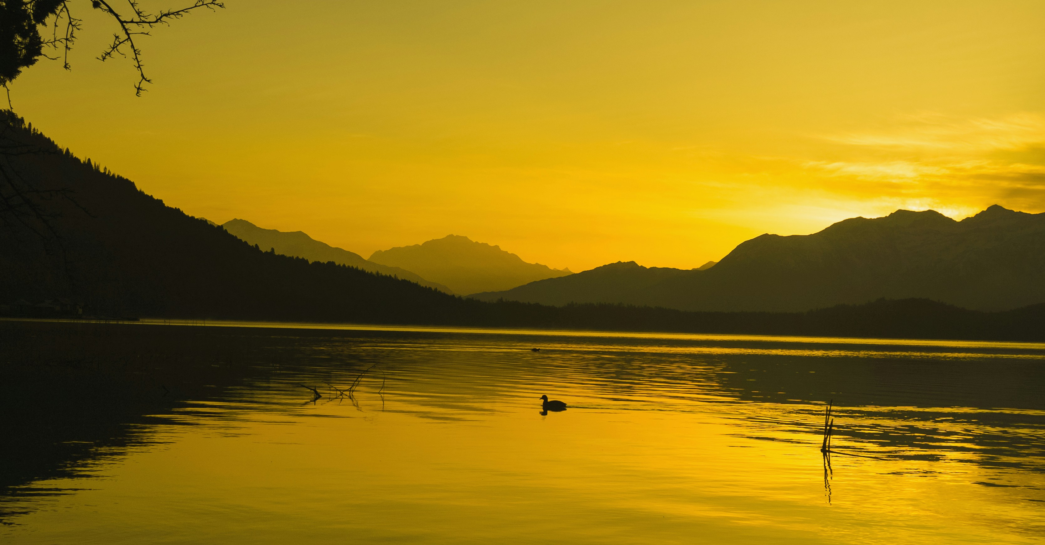 Photo by ashokjkshetri