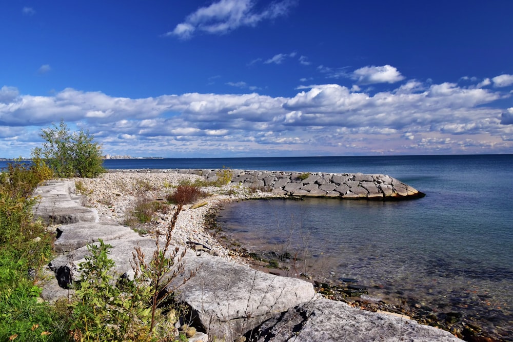 a view of a rocky shore with a body of water