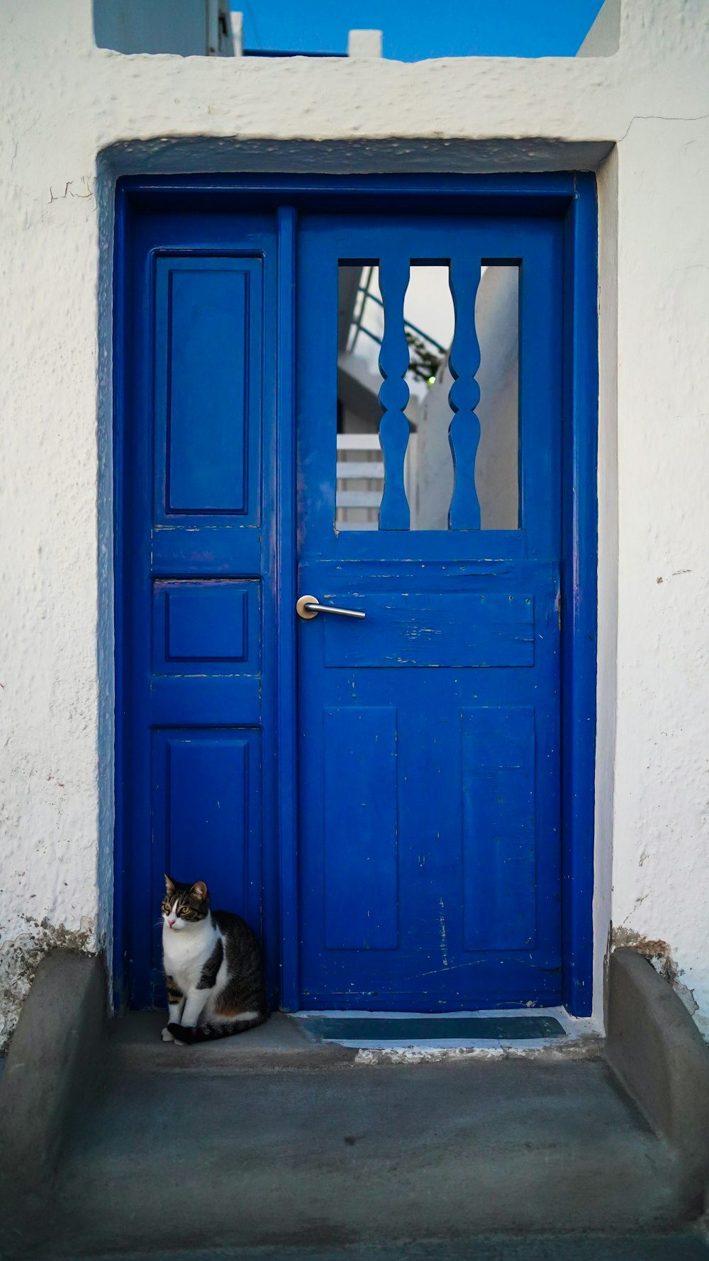 a cat sitting in front of a blue door