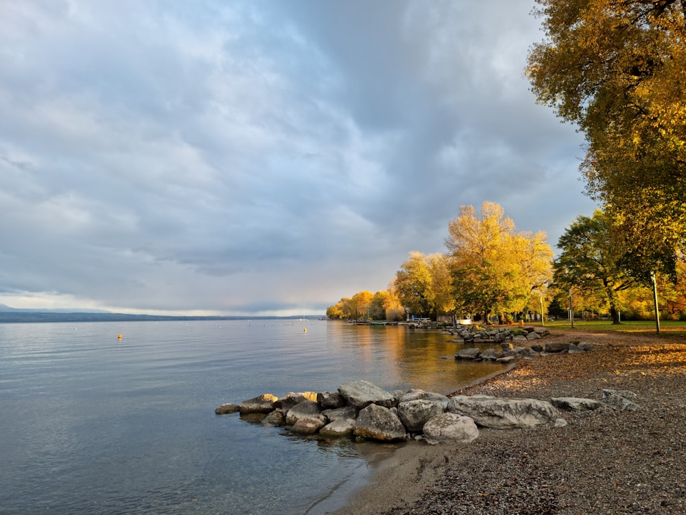 a body of water surrounded by trees and rocks