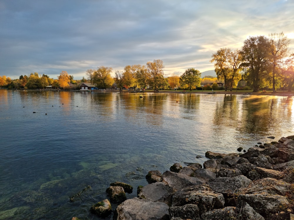 a body of water surrounded by rocks and trees