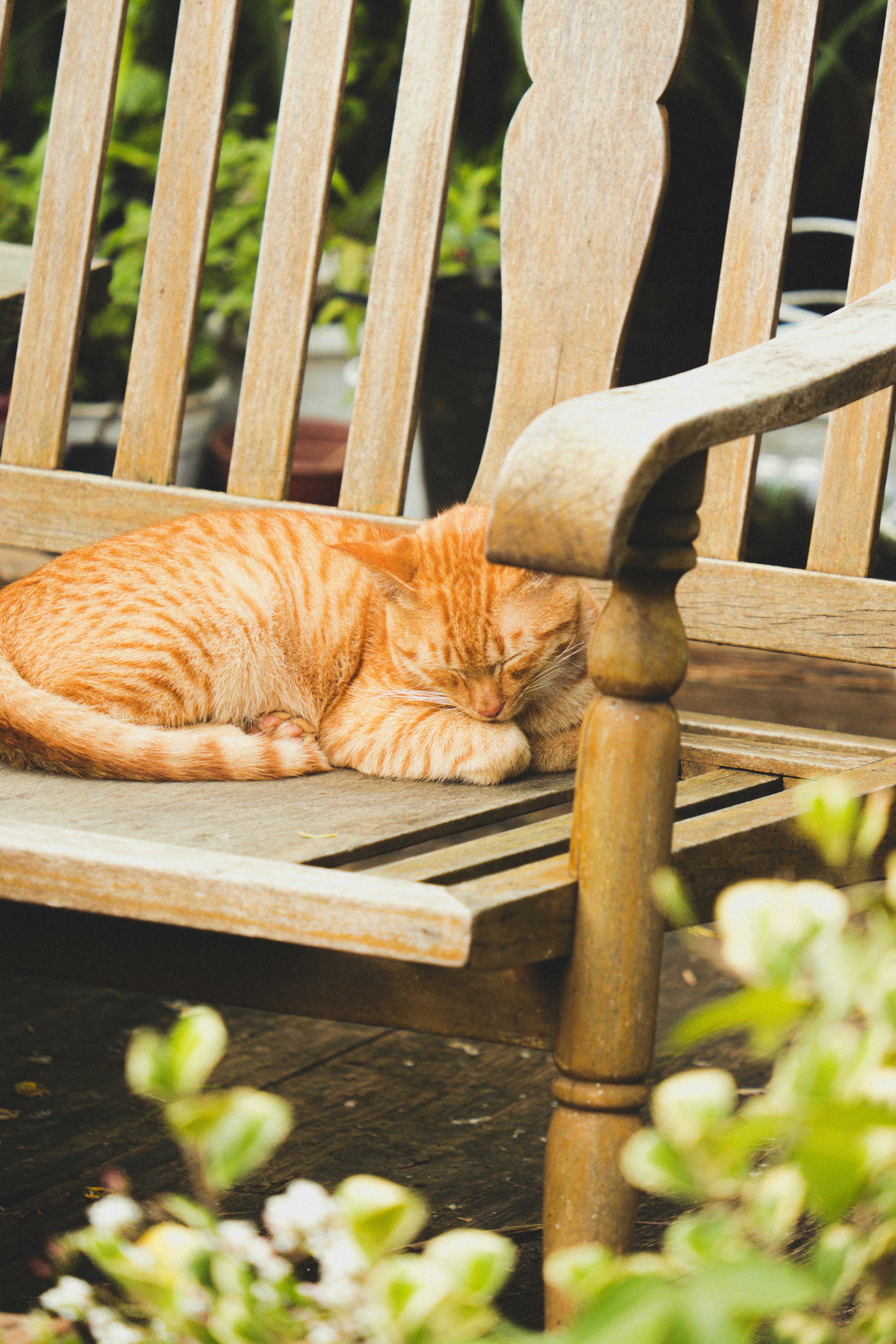 Photo by xiaowuuuuuuu