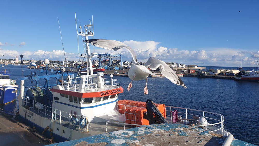 a seagull flying over a boat in a harbor