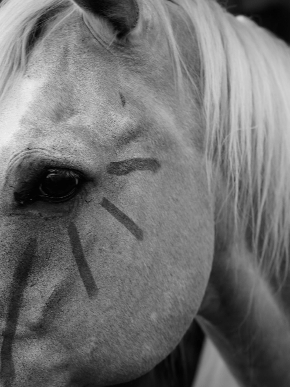 a close up of a horse with a painted face