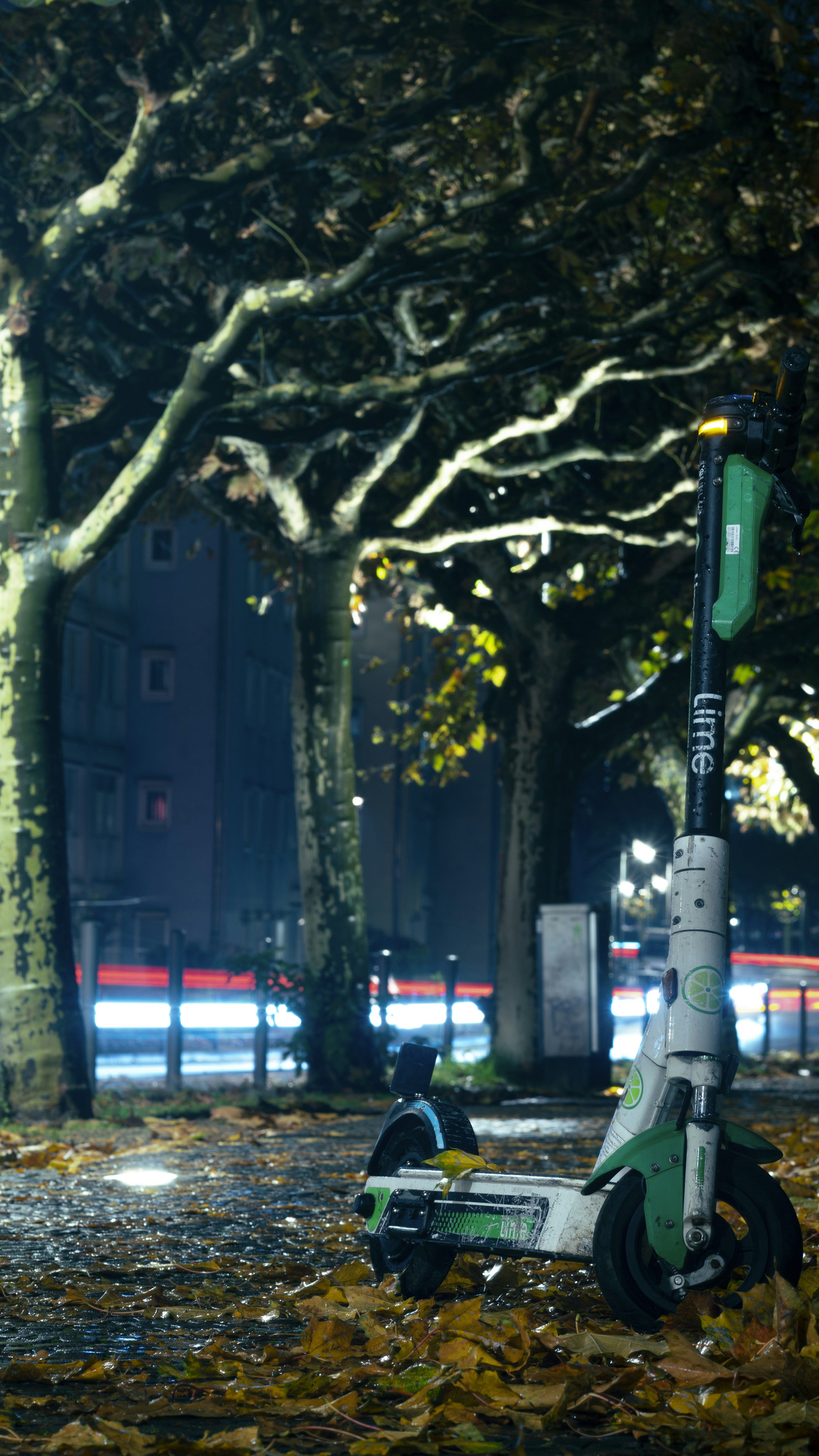 Photo by sg_photography