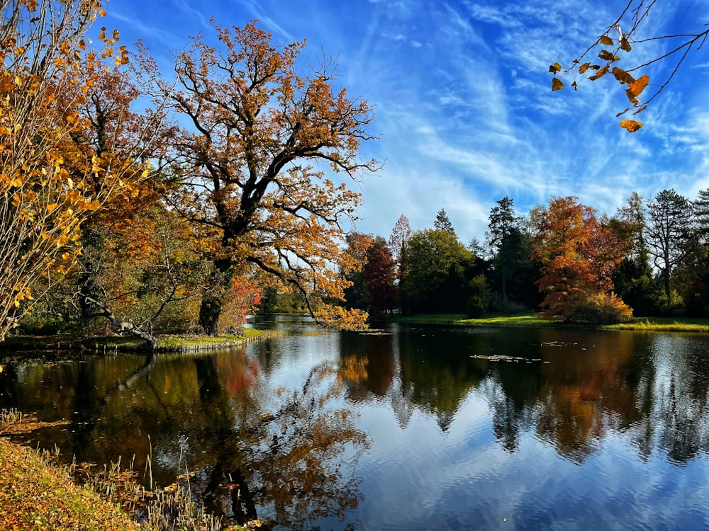 a lake surrounded by lots of trees in the fall