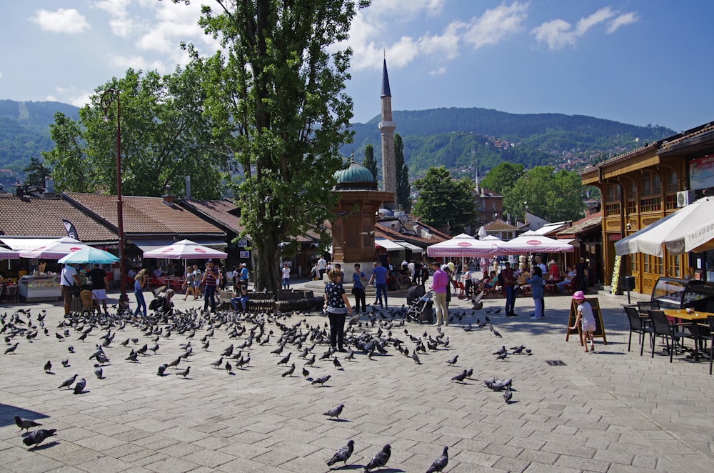 a group of people standing around a bunch of birds