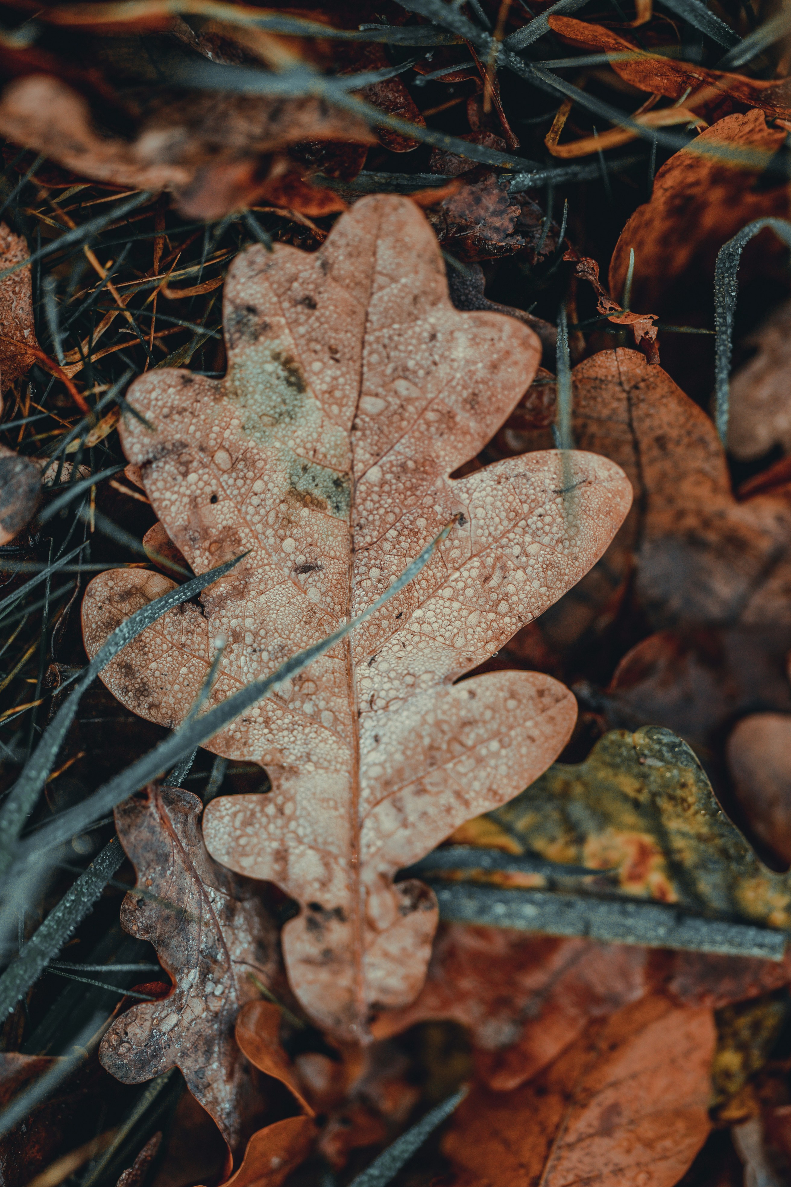 Photo by omarvellous14