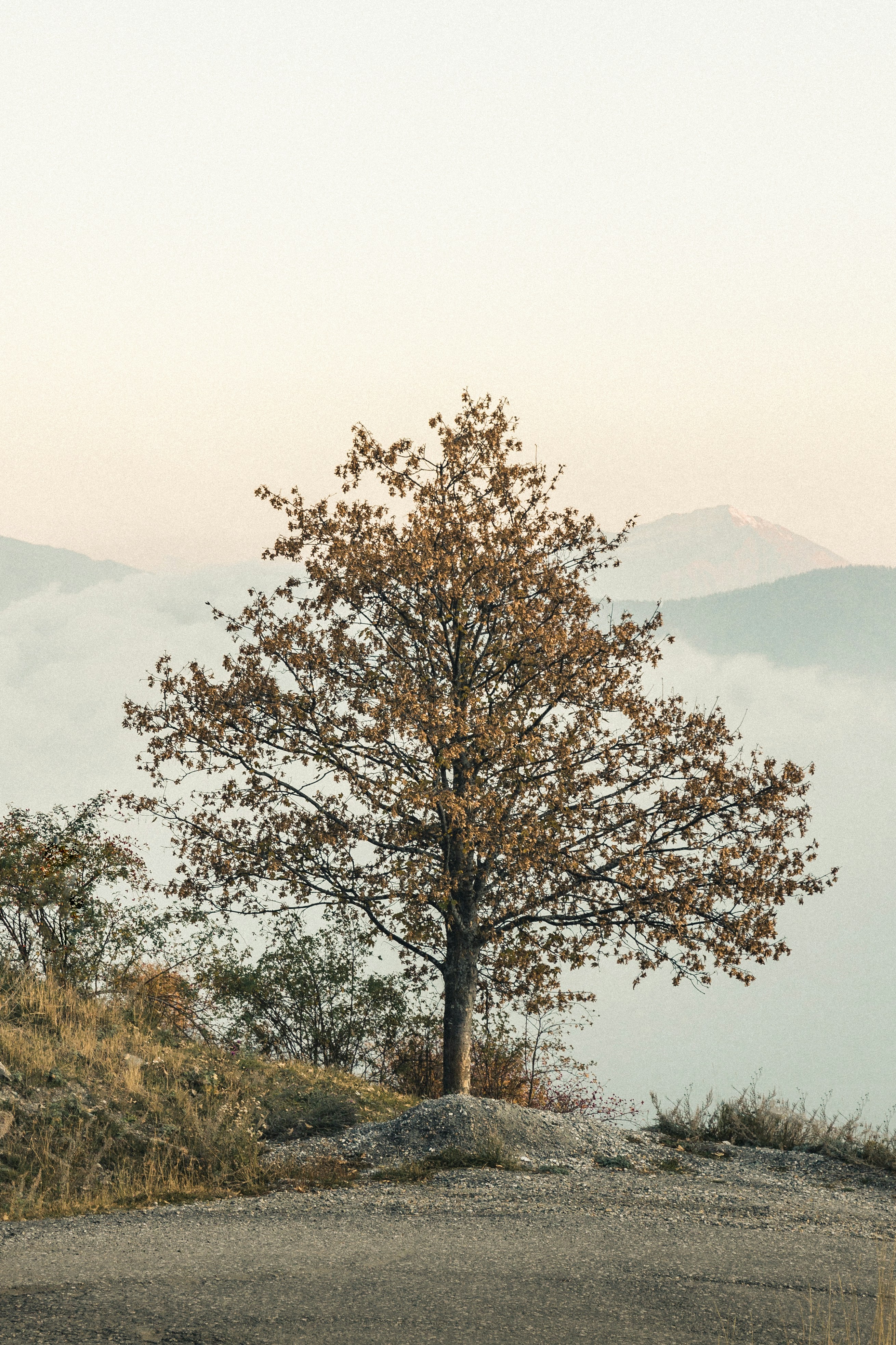 Photo by franciscotsantos