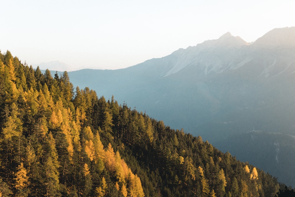 a view of a mountain range with trees in the foreground