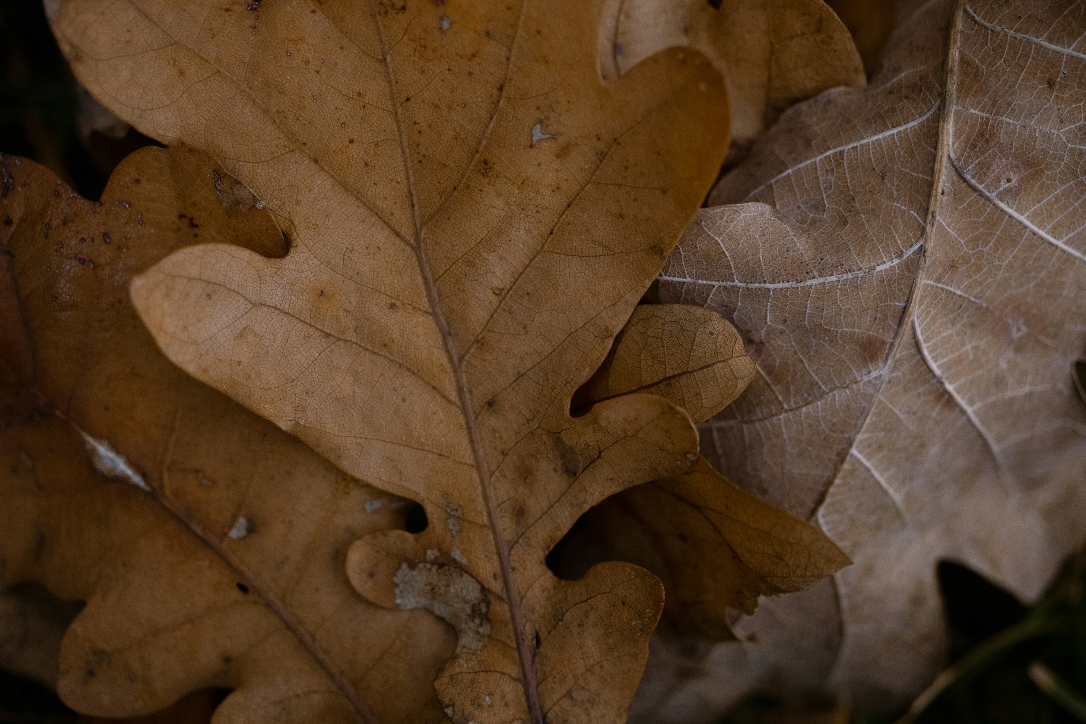 Photo by earthfulmoments