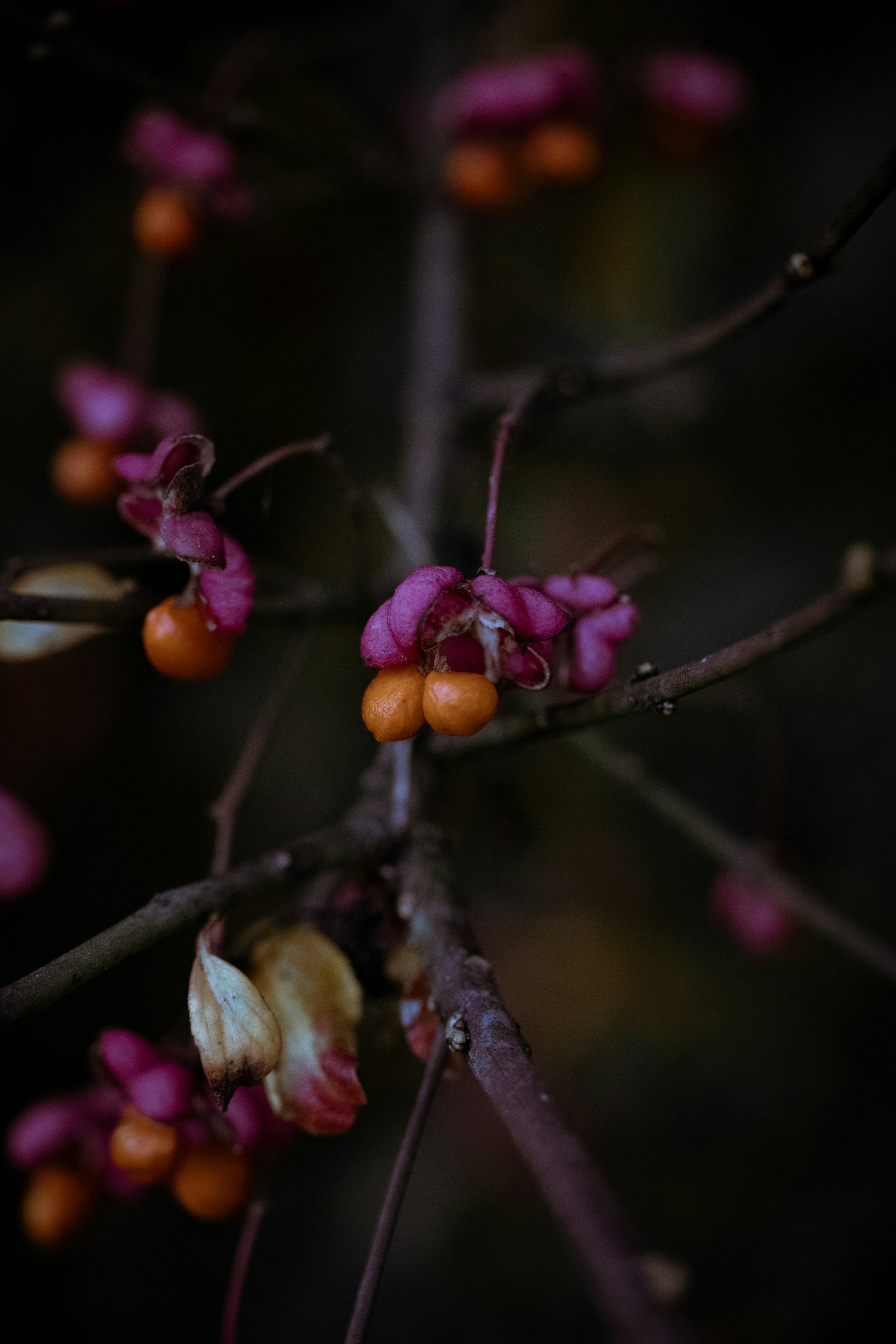 Photo by earthfulmoments