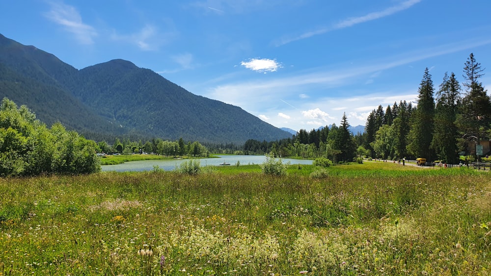 a grassy field with a lake and mountains in the background