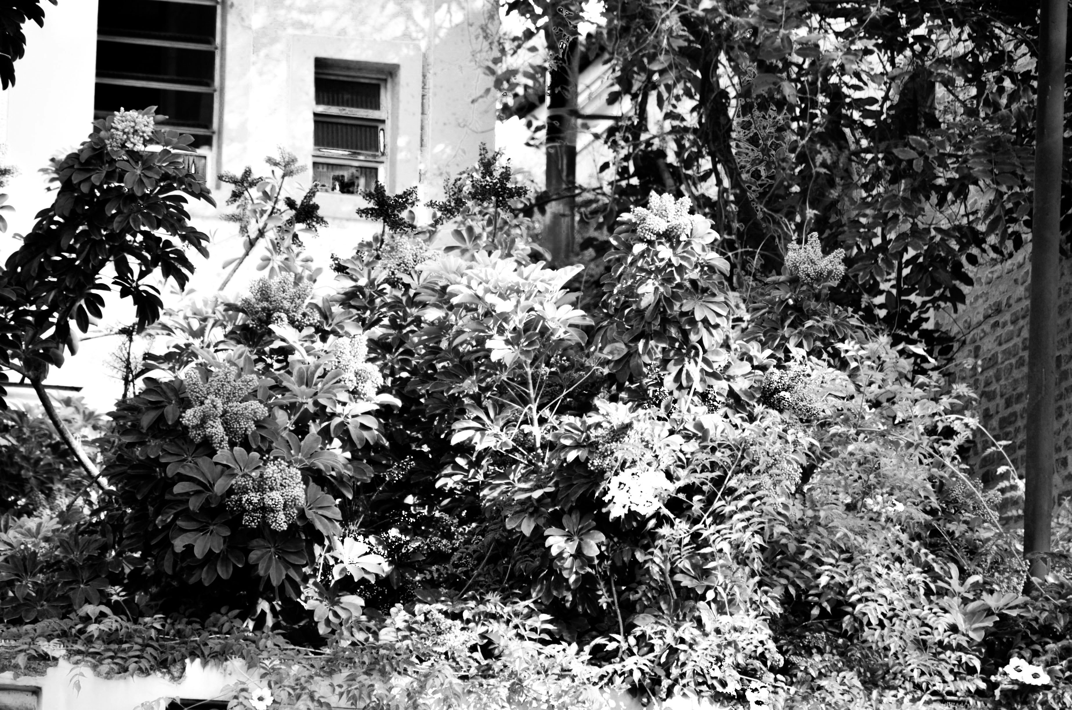 Photo by andersonnikon