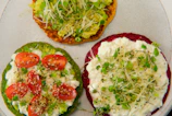 A colorful display of vegetarian sandwich options with vibrant veggies and spreads.