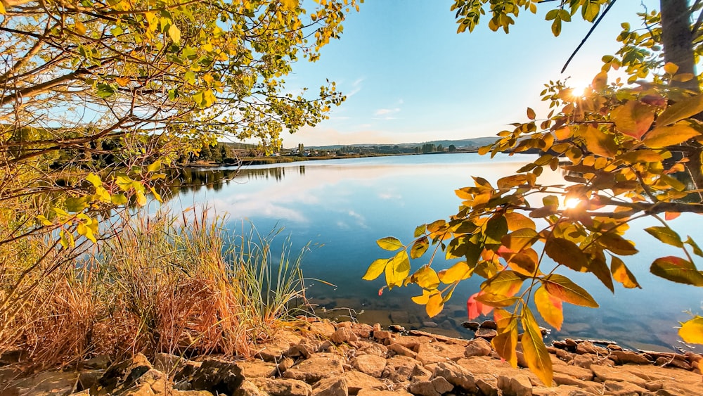 a lake surrounded by trees and rocks under a blue sky