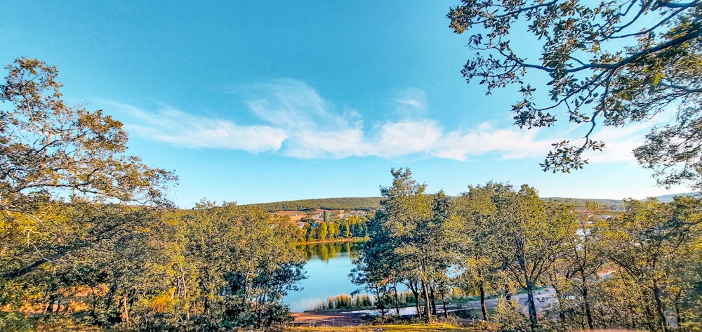 a lake surrounded by lots of trees in the middle of a forest