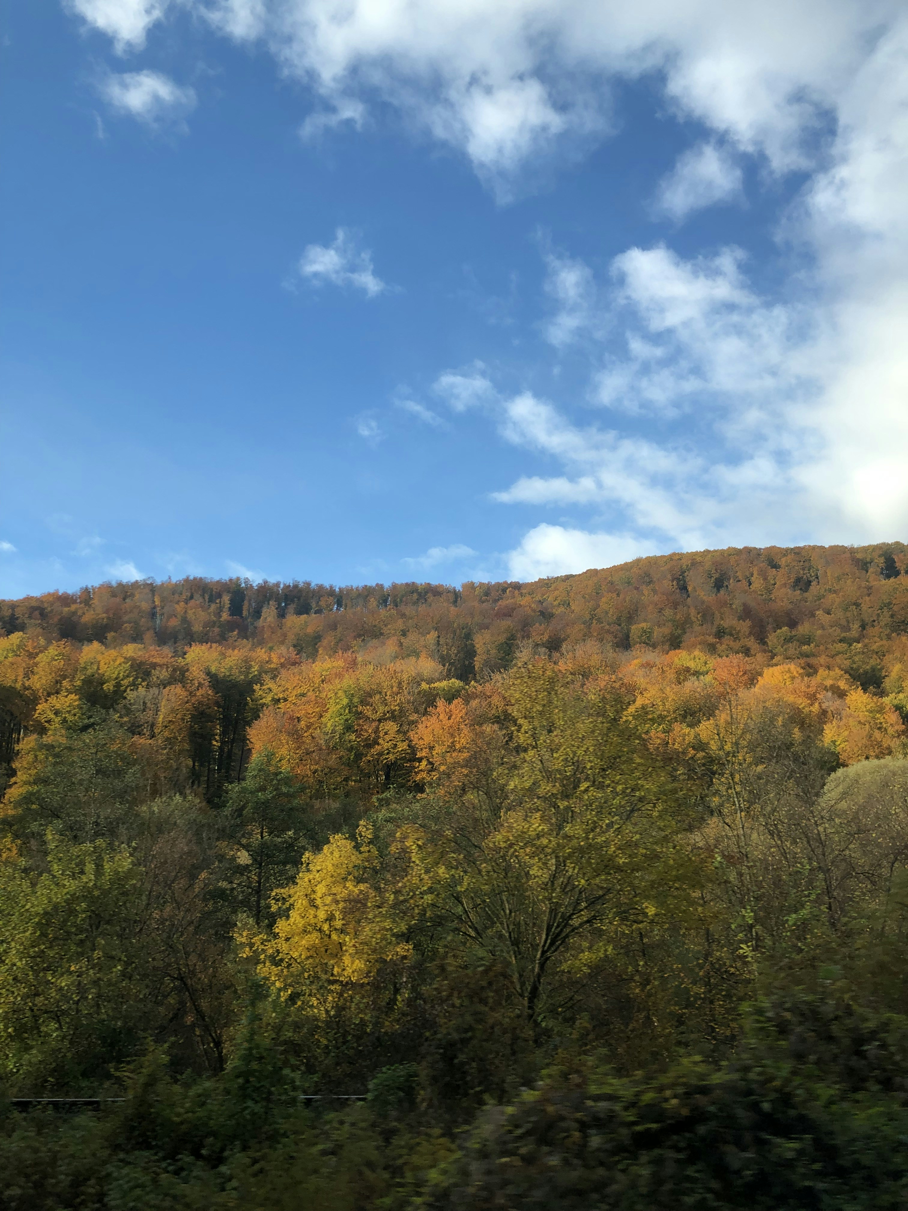 Photo by __vmartin__