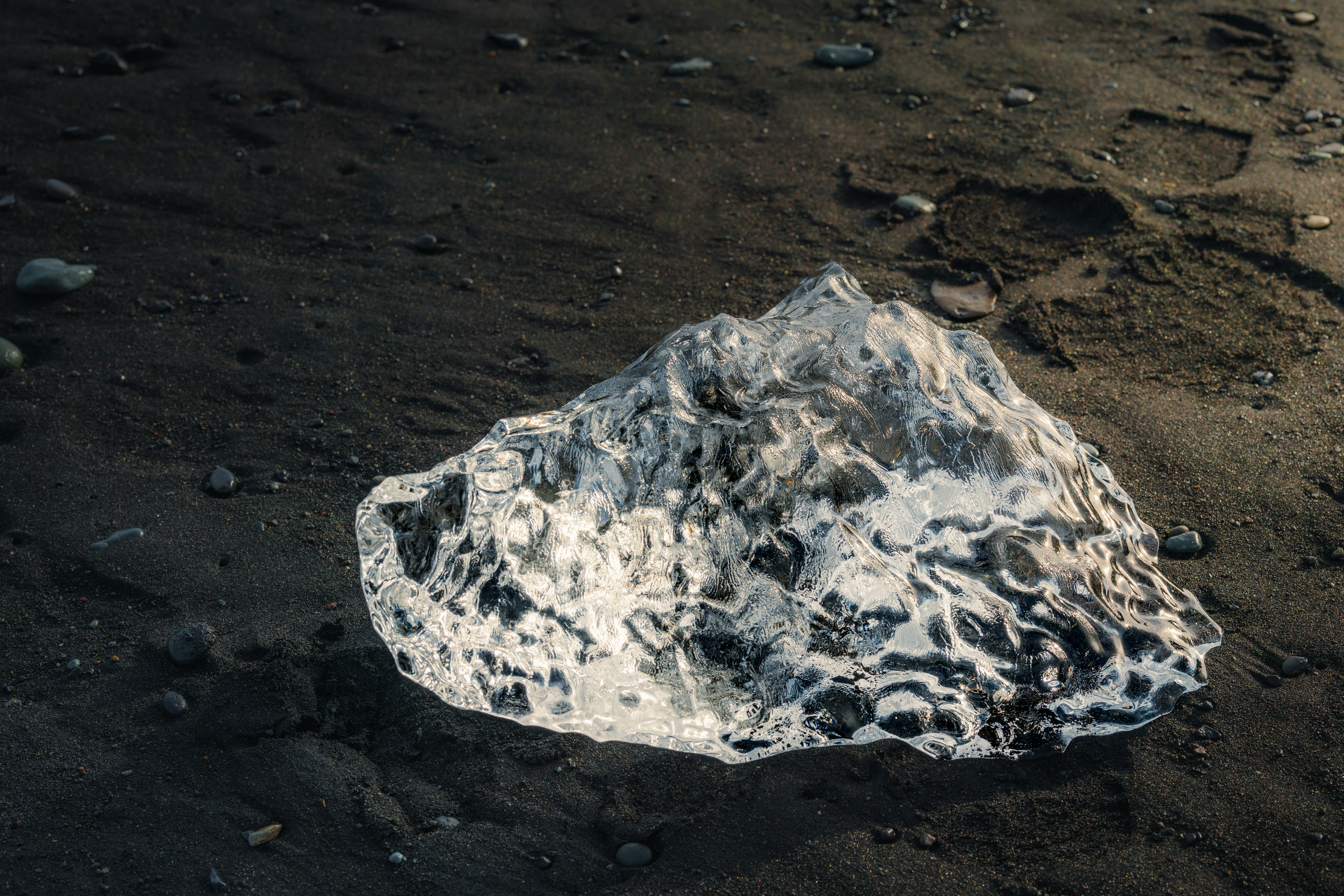 Photo by danielsessler