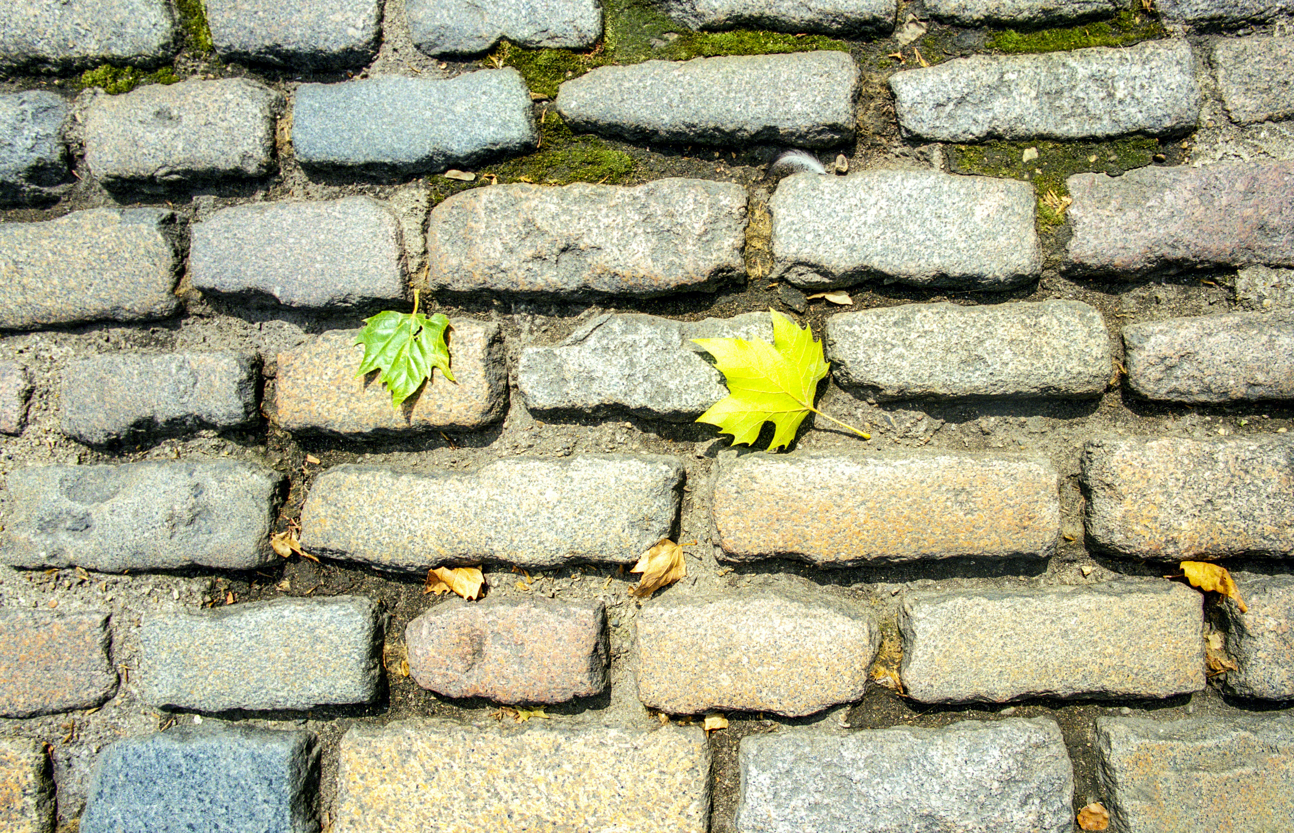 Photo by rocinante_11