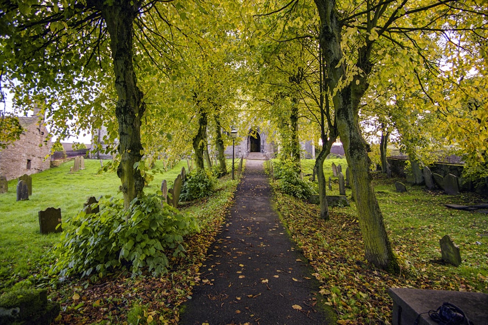 a path through a cemetery with trees and tombstones