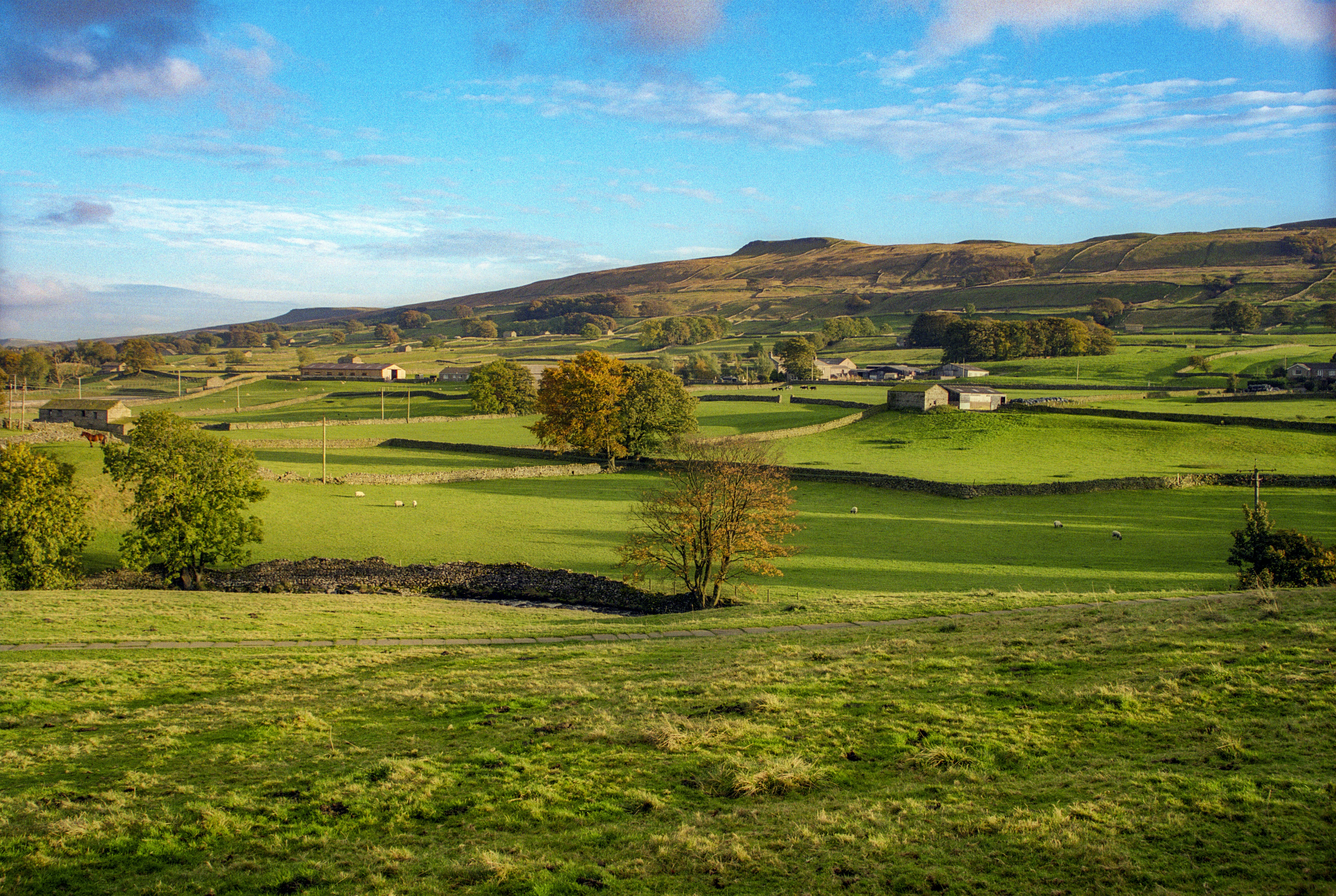 Photo by rocinante_11