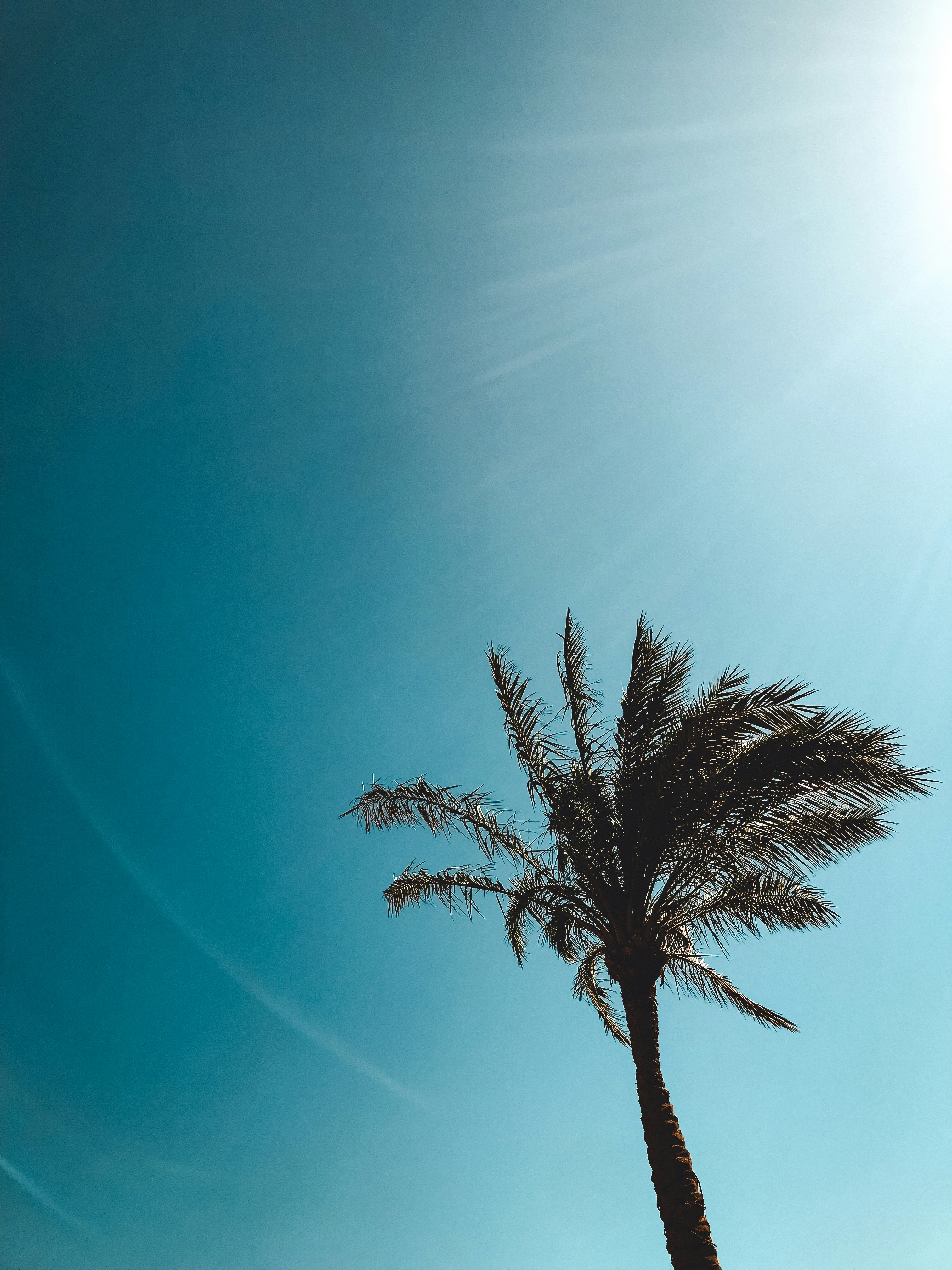 Photo by aleksandra99