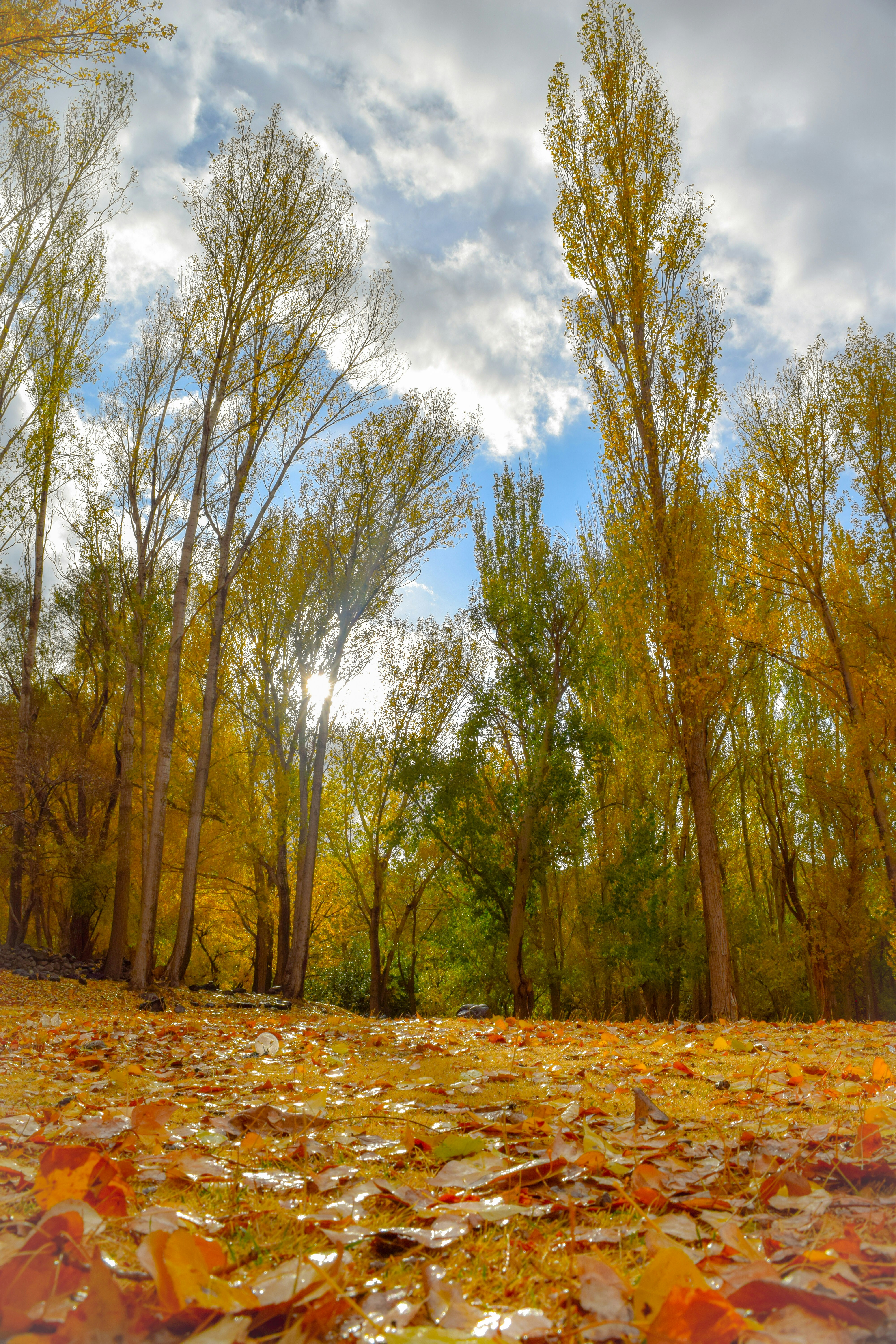 Photo by amirhoseinir