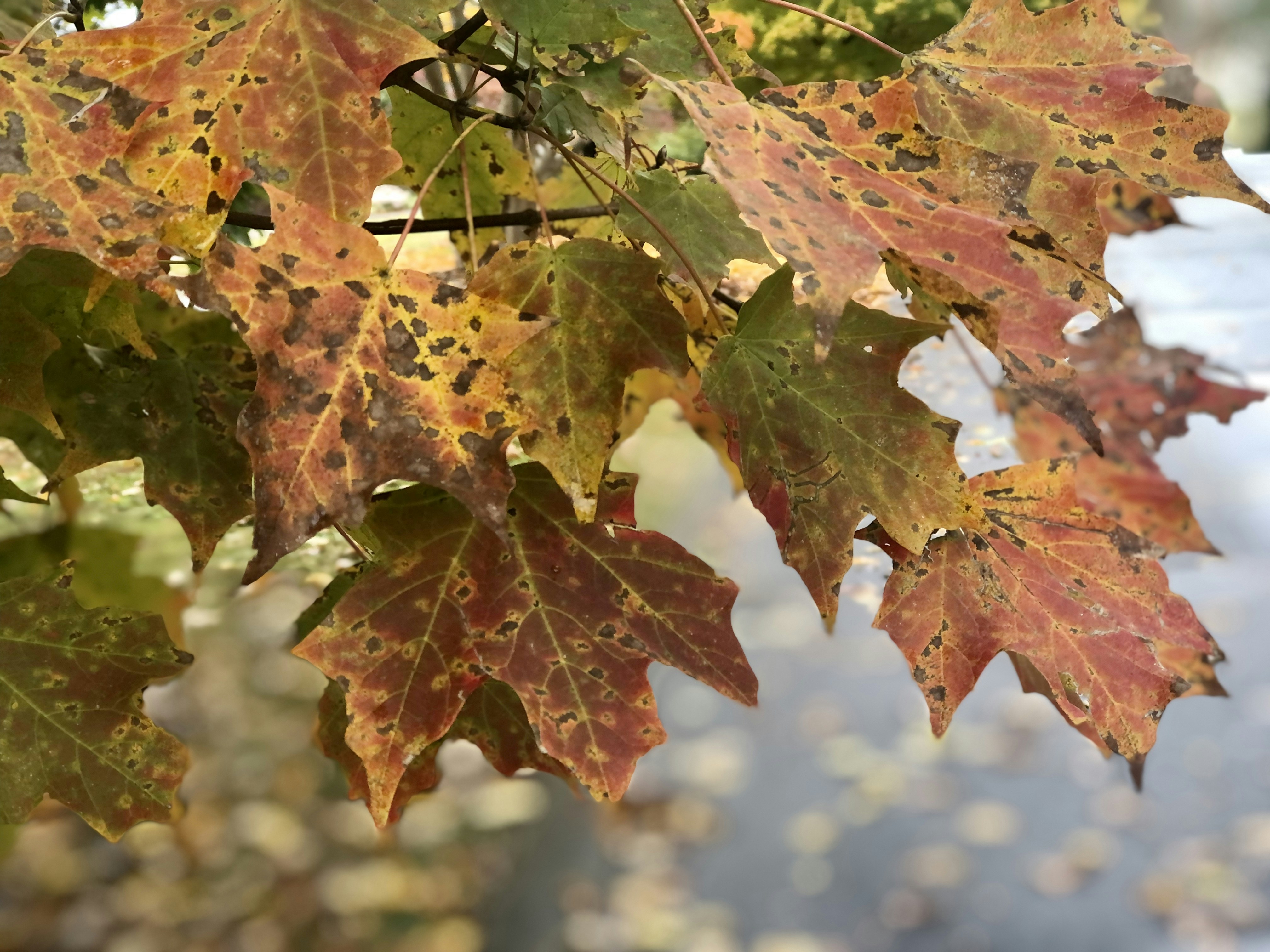 Image by Stephanie Klepacki via Unsplash