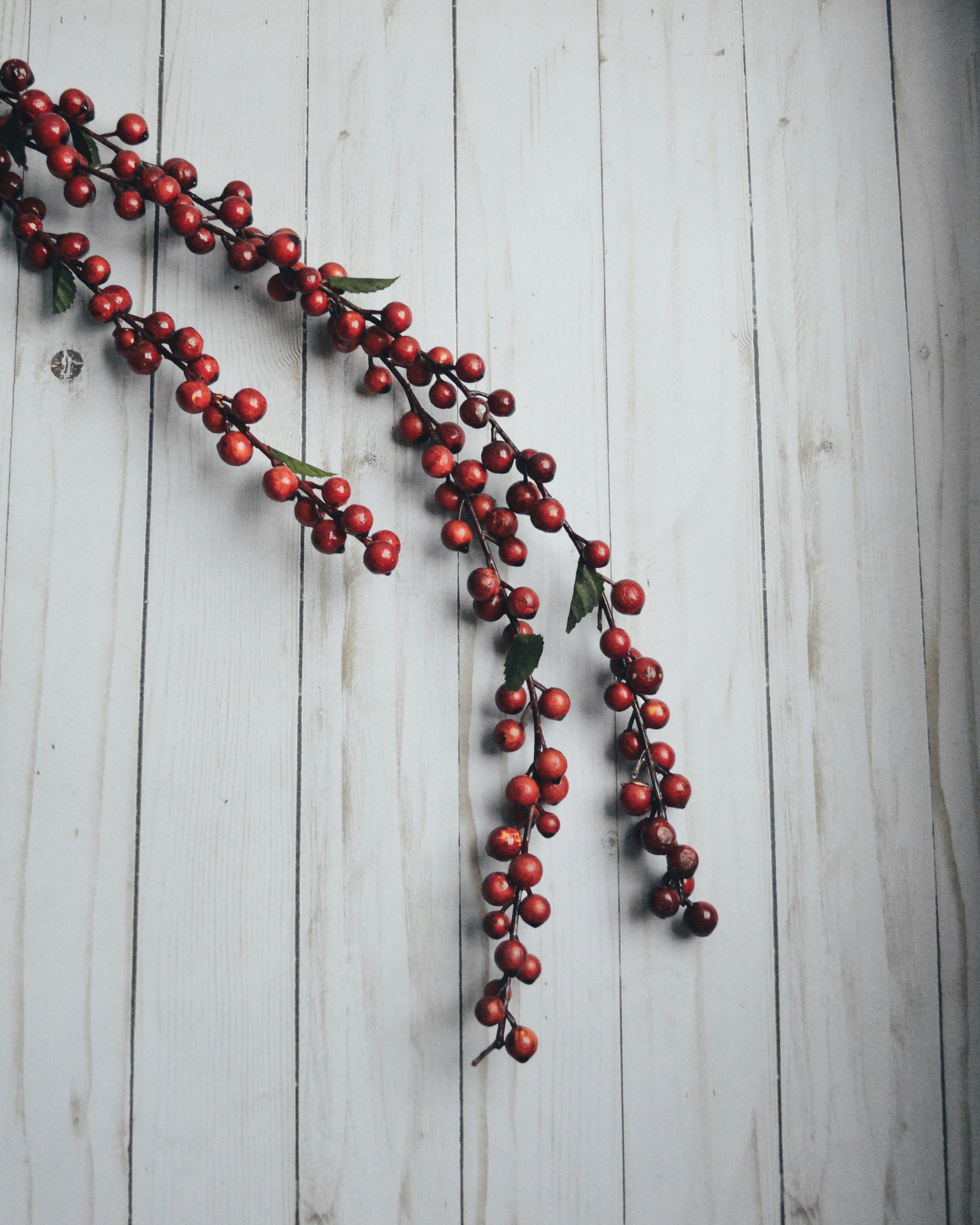 Photo by hudsoncrafted