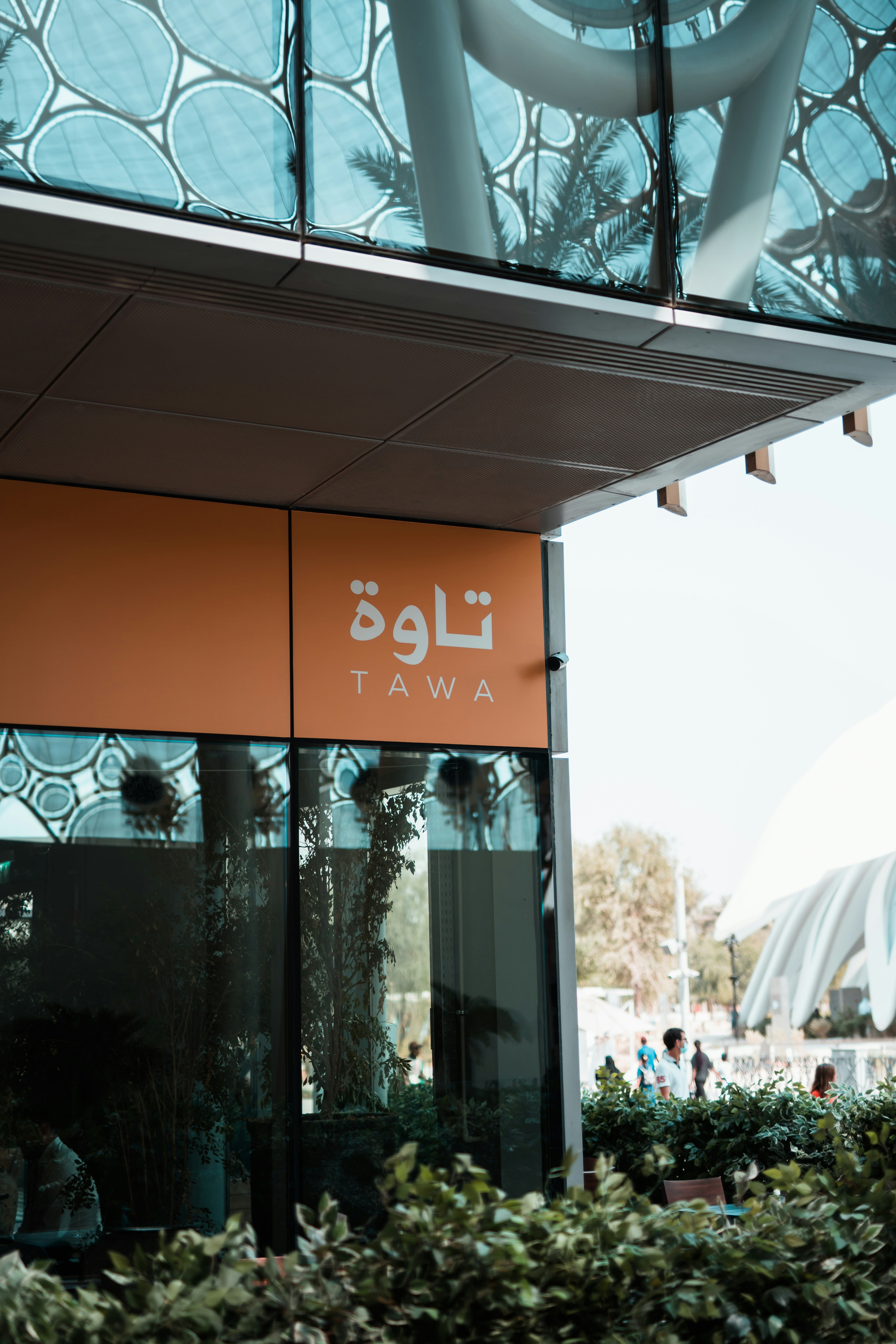 What Liwa Oasis Actually Is
