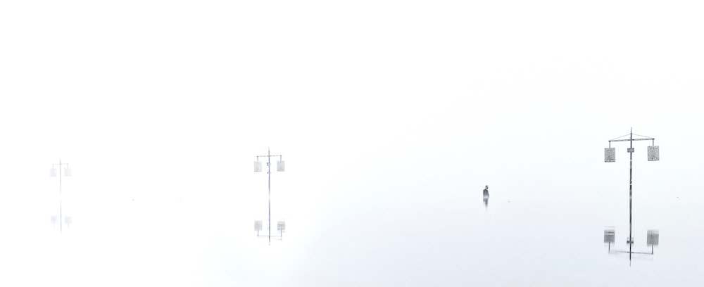 a group of people walking through a foggy field