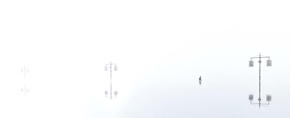 Un grupo de personas caminando por un campo de niebla