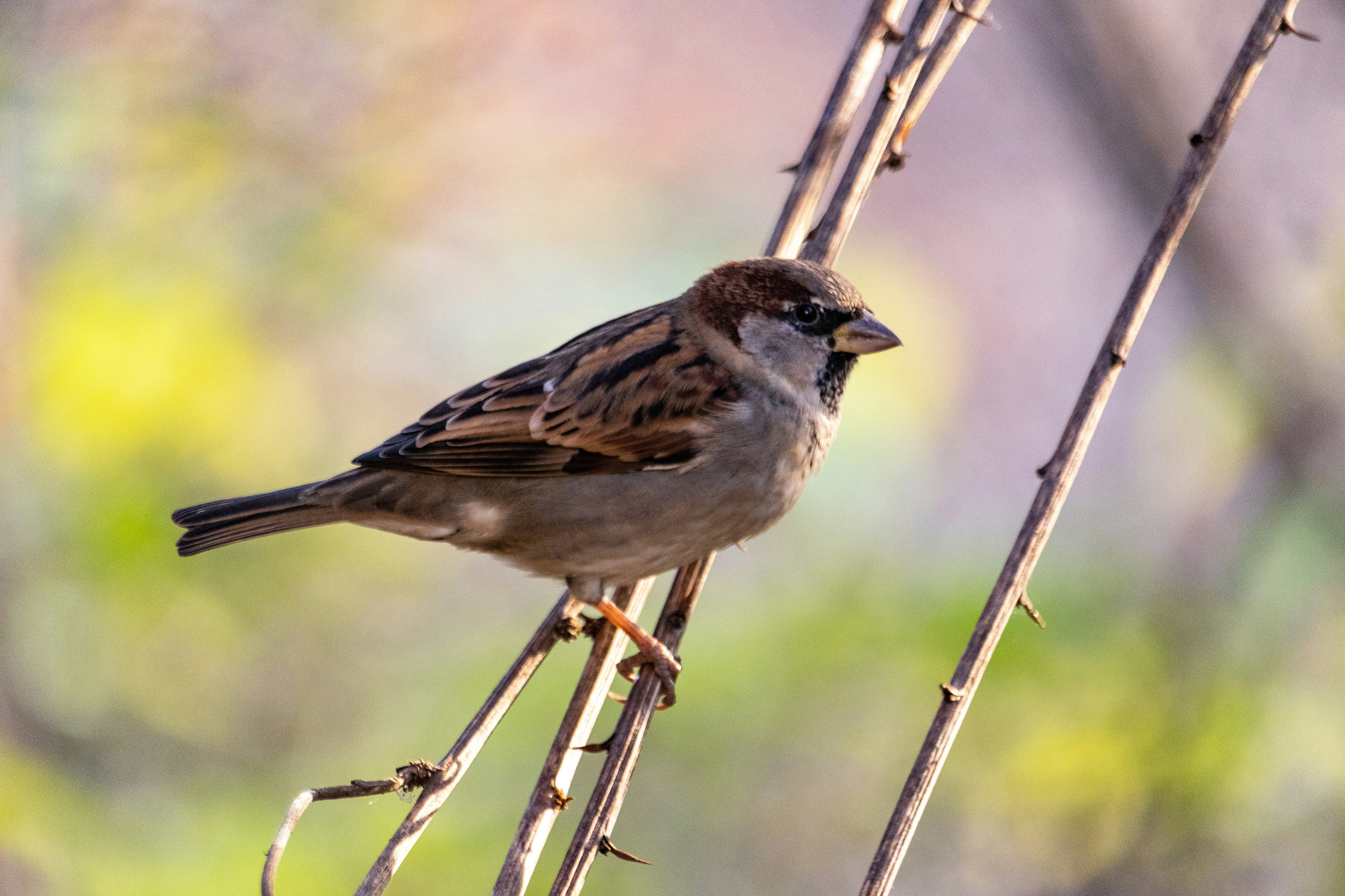 Photo by uin84917798