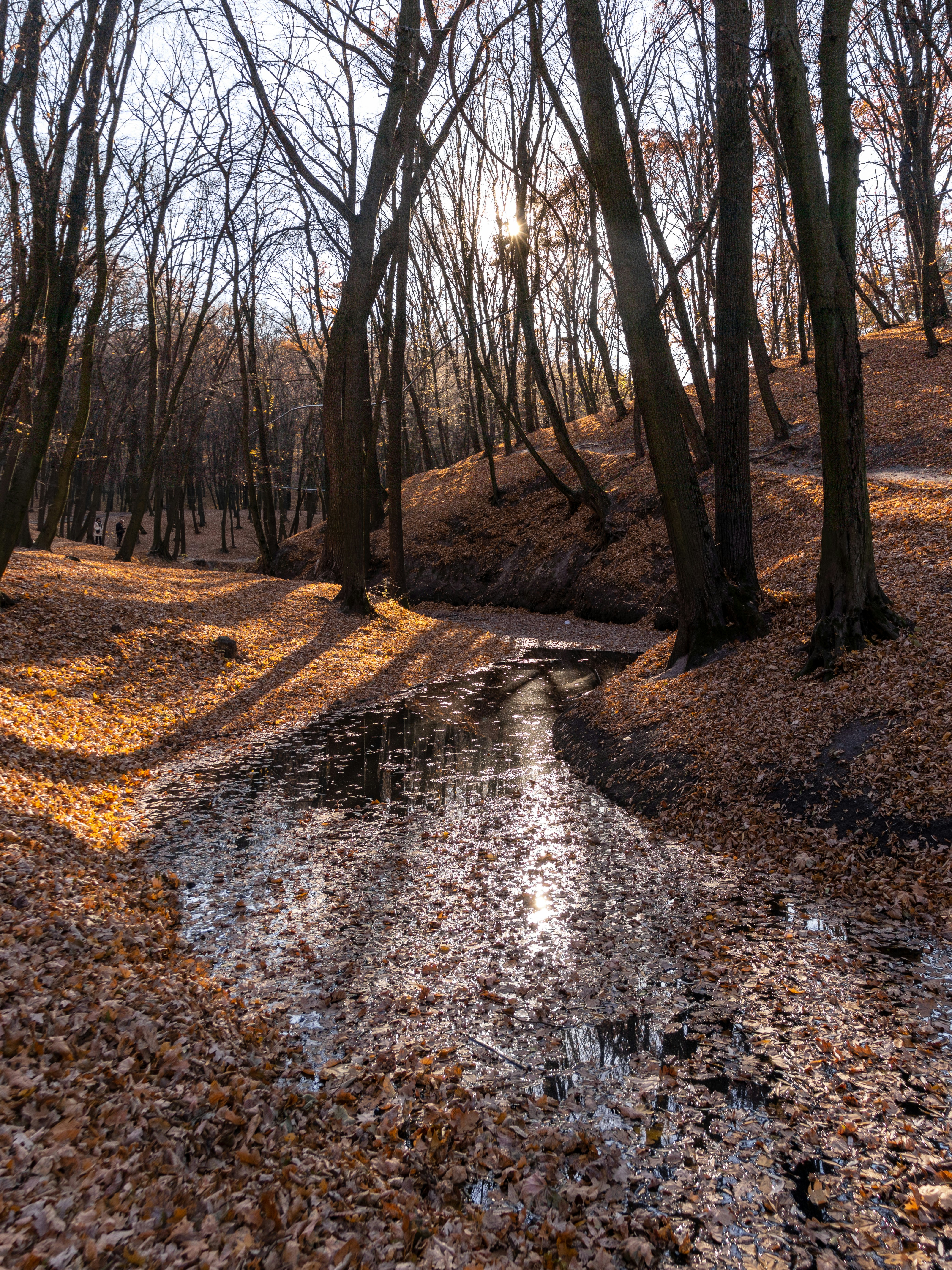 Photo by uin84917798