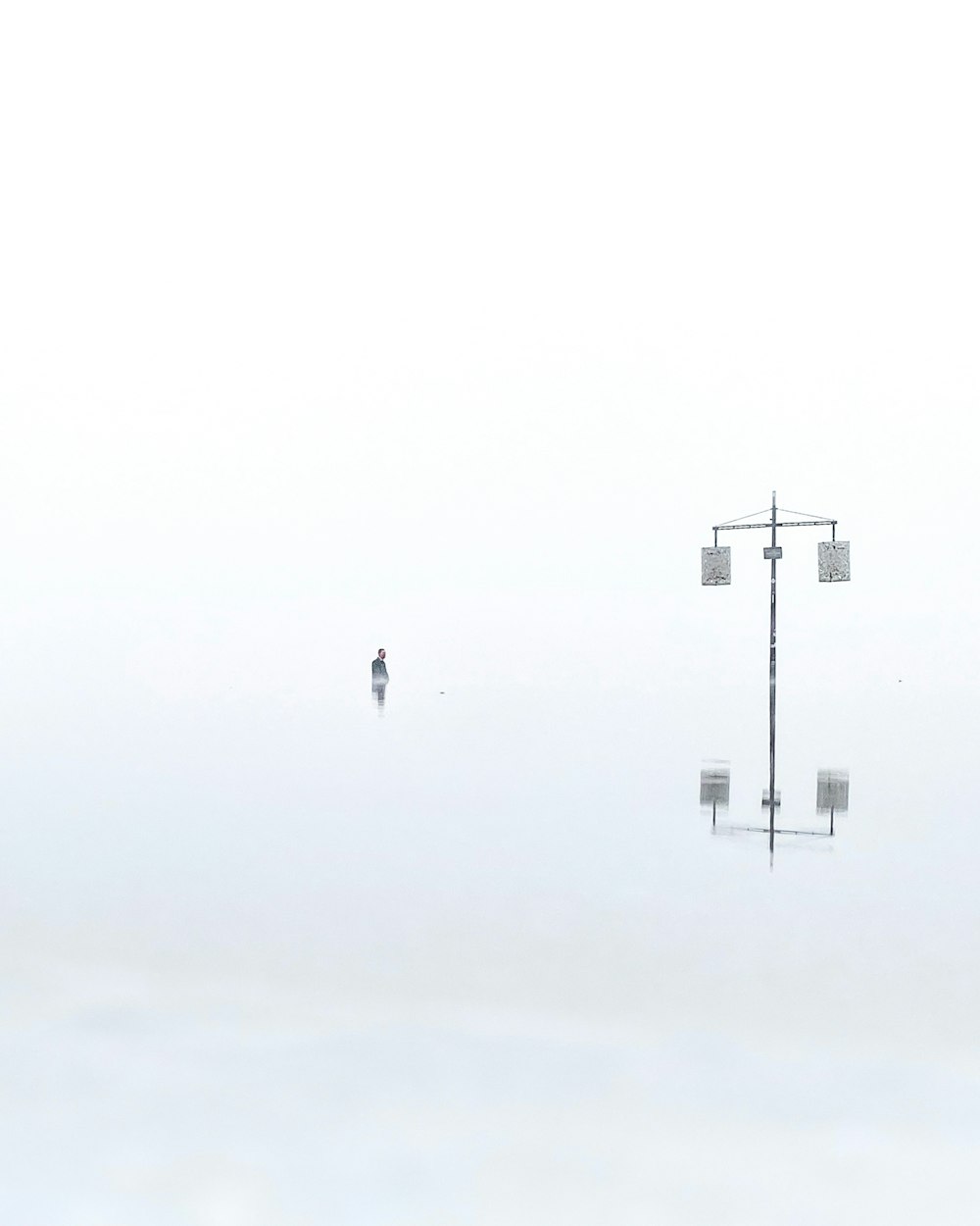 a couple of people walking across a foggy field