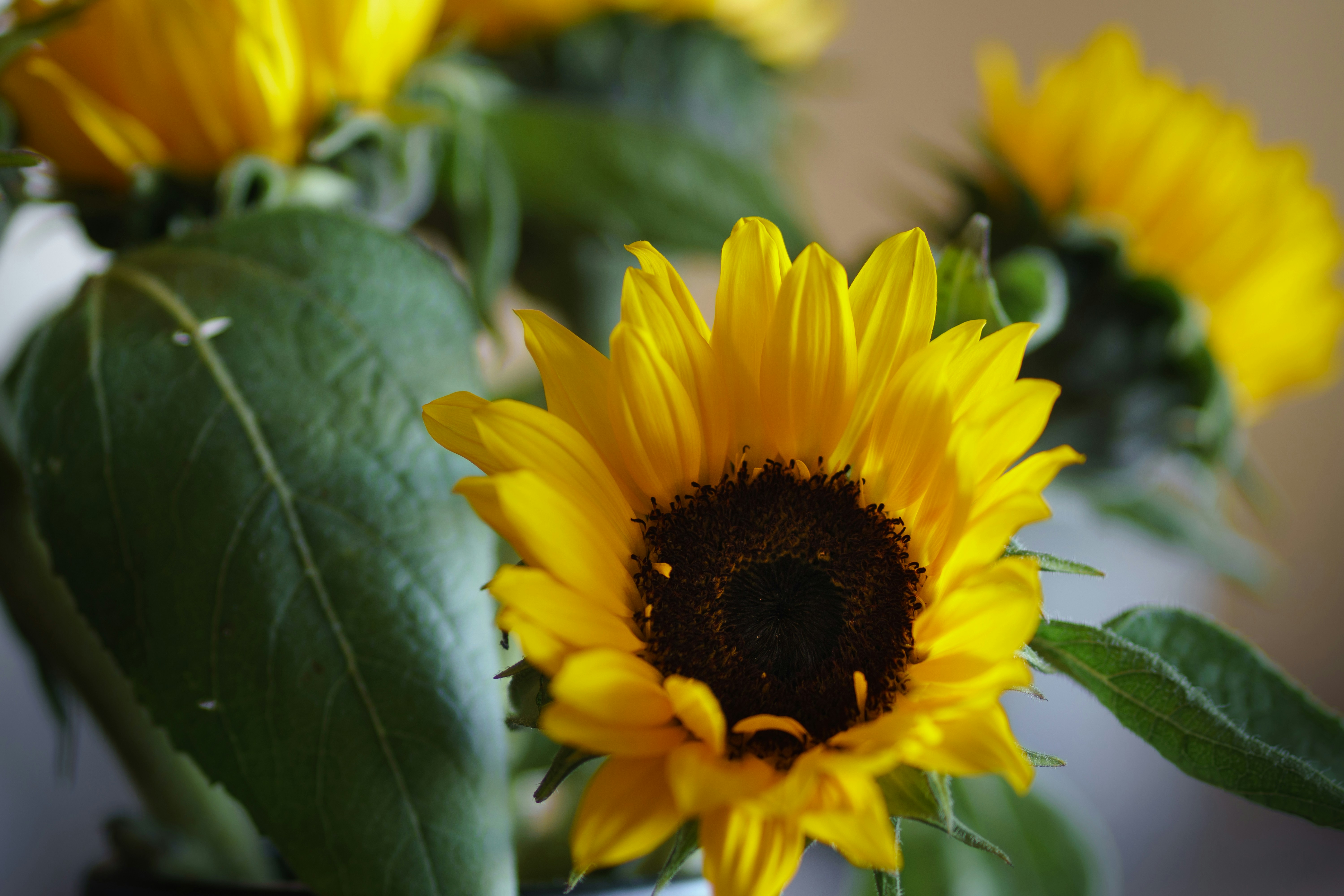 Photo by earl_plannerzone